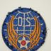 Patch US ww2  20 th Air Force -original